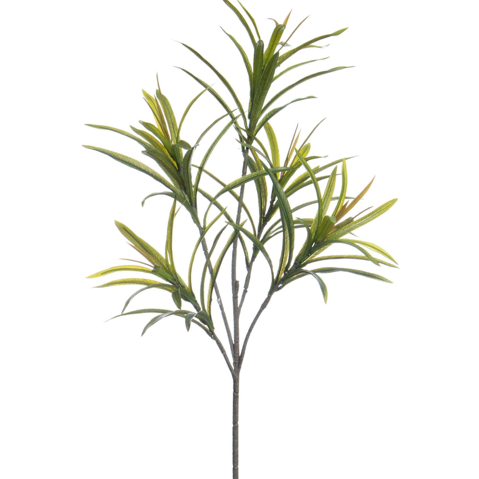 16" Green Dracaena Leaf Stem by Ashland®